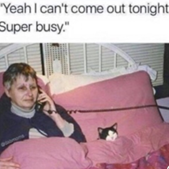 Poshmark Ambassador II | Heart & Hustle Winner | Top-Rated Seller | Fast Shipper - Picture 17 of 17